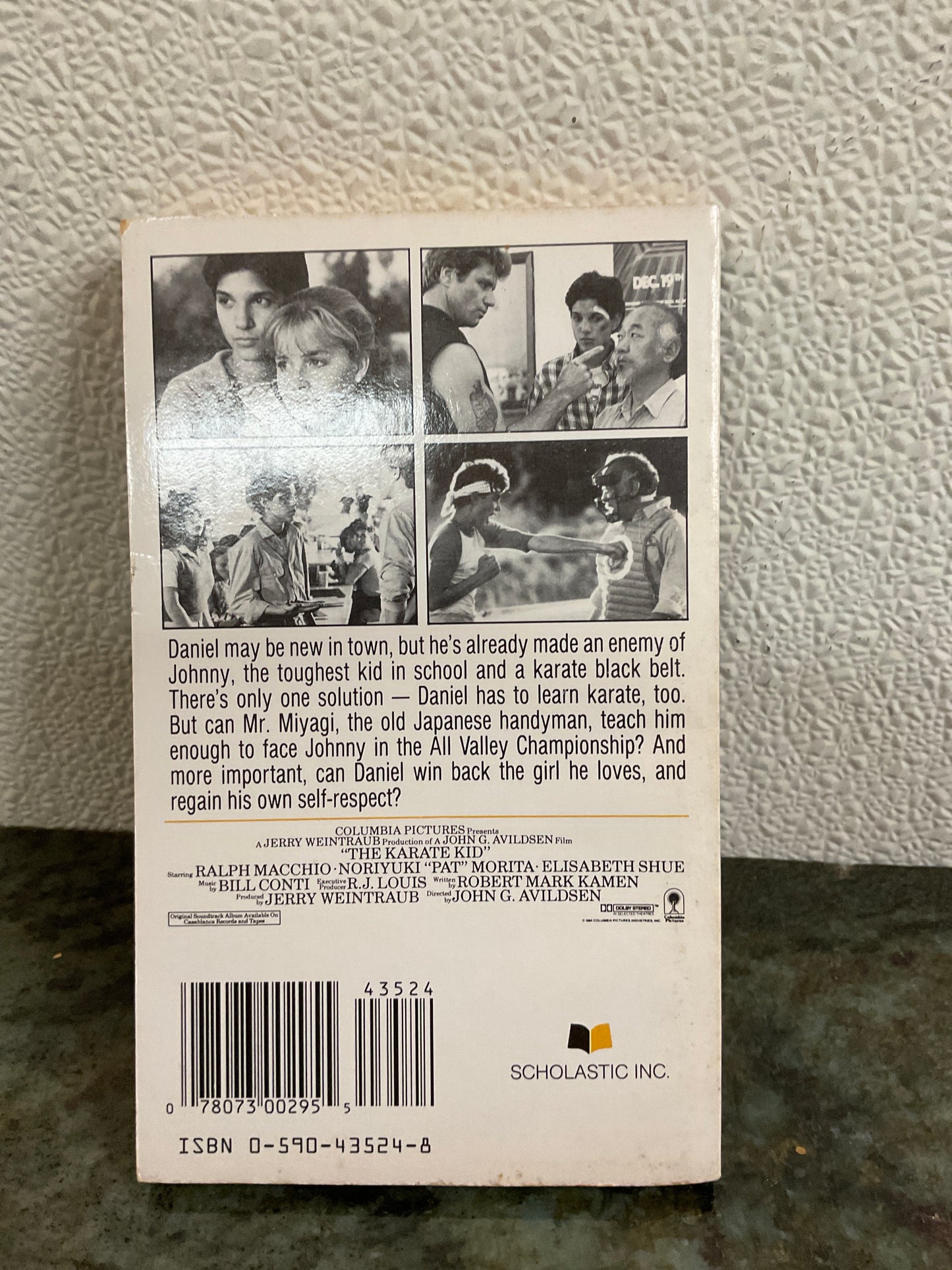 The Karate Kid By B.B Hiller