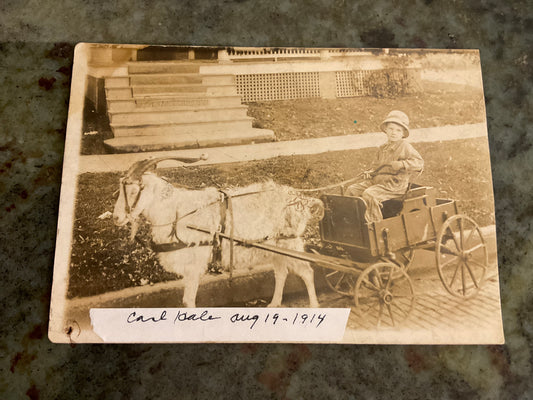Postcard Photo 1914 Boy/Cart/Goat