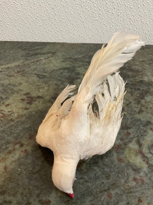 Vintage White Bird