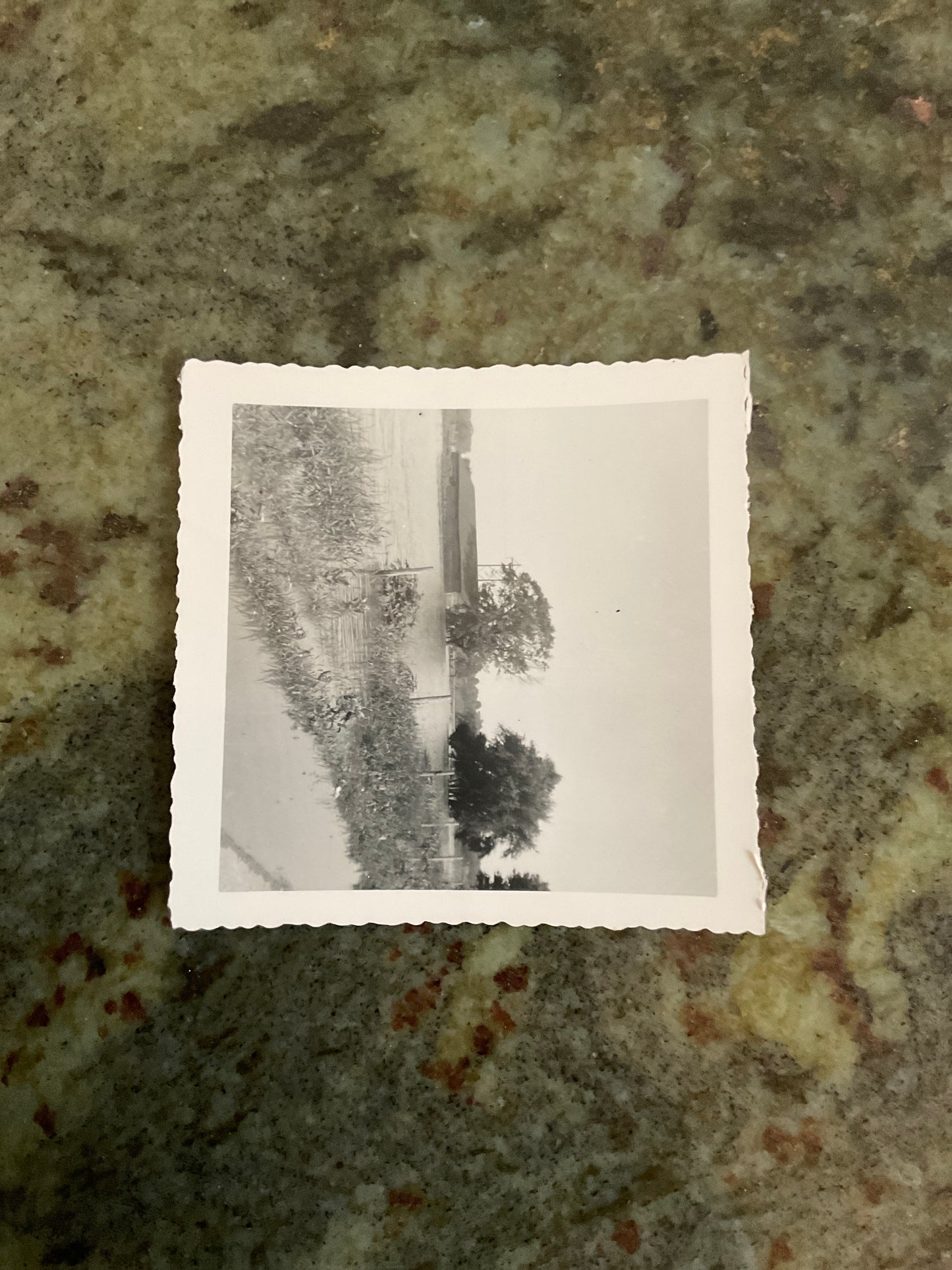 Vintage Photograph