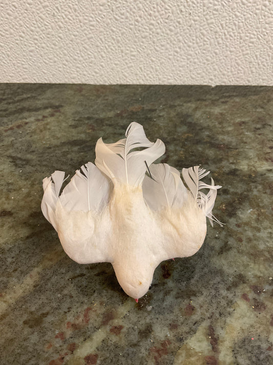 Small Vintage White Bird