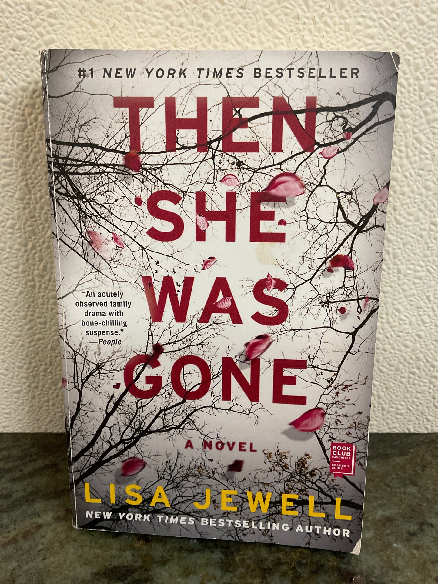 Book Then She Was Gone