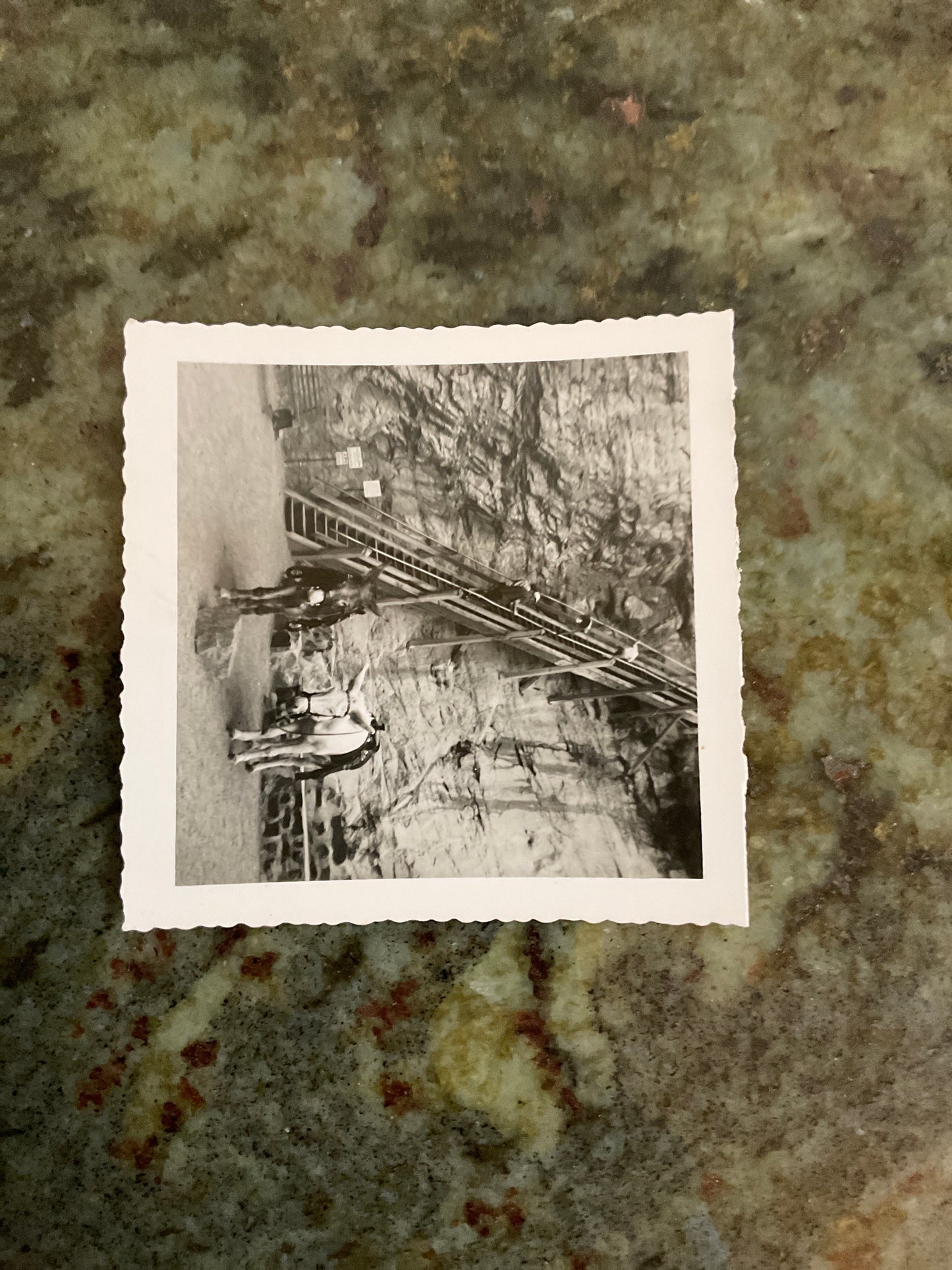 Vintage Photograph