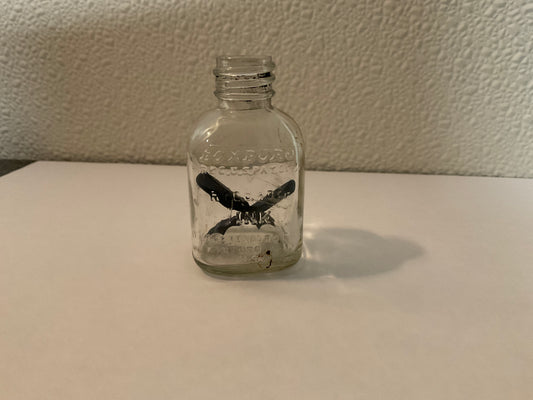 Vintage Ink Bottle with pen tips