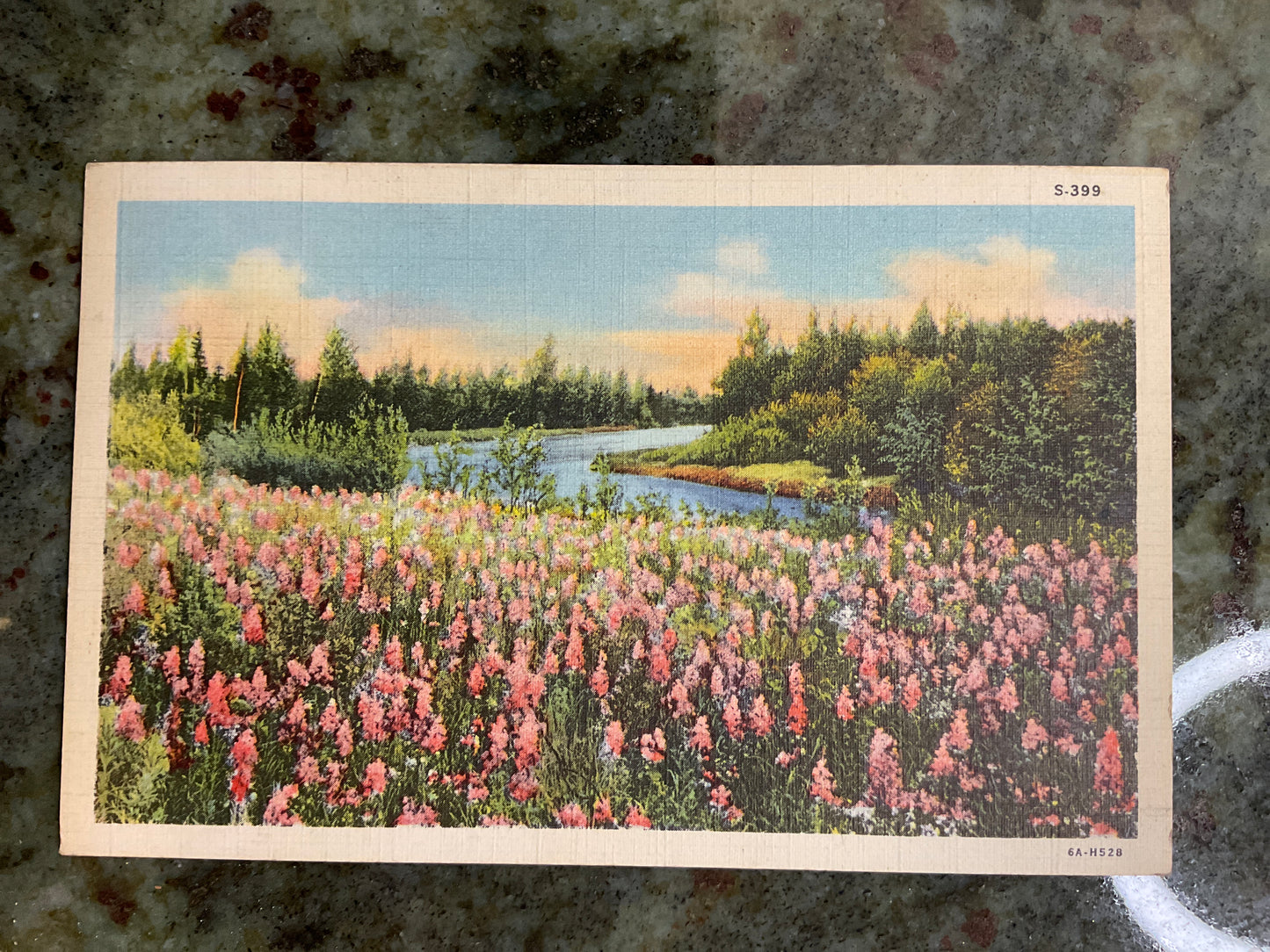 Generic River Scene Post Card 1944