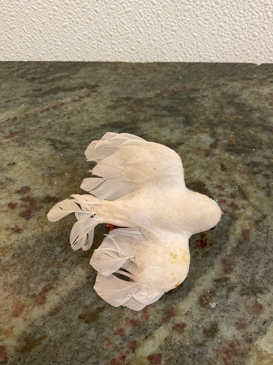 Small Vintage White Bird