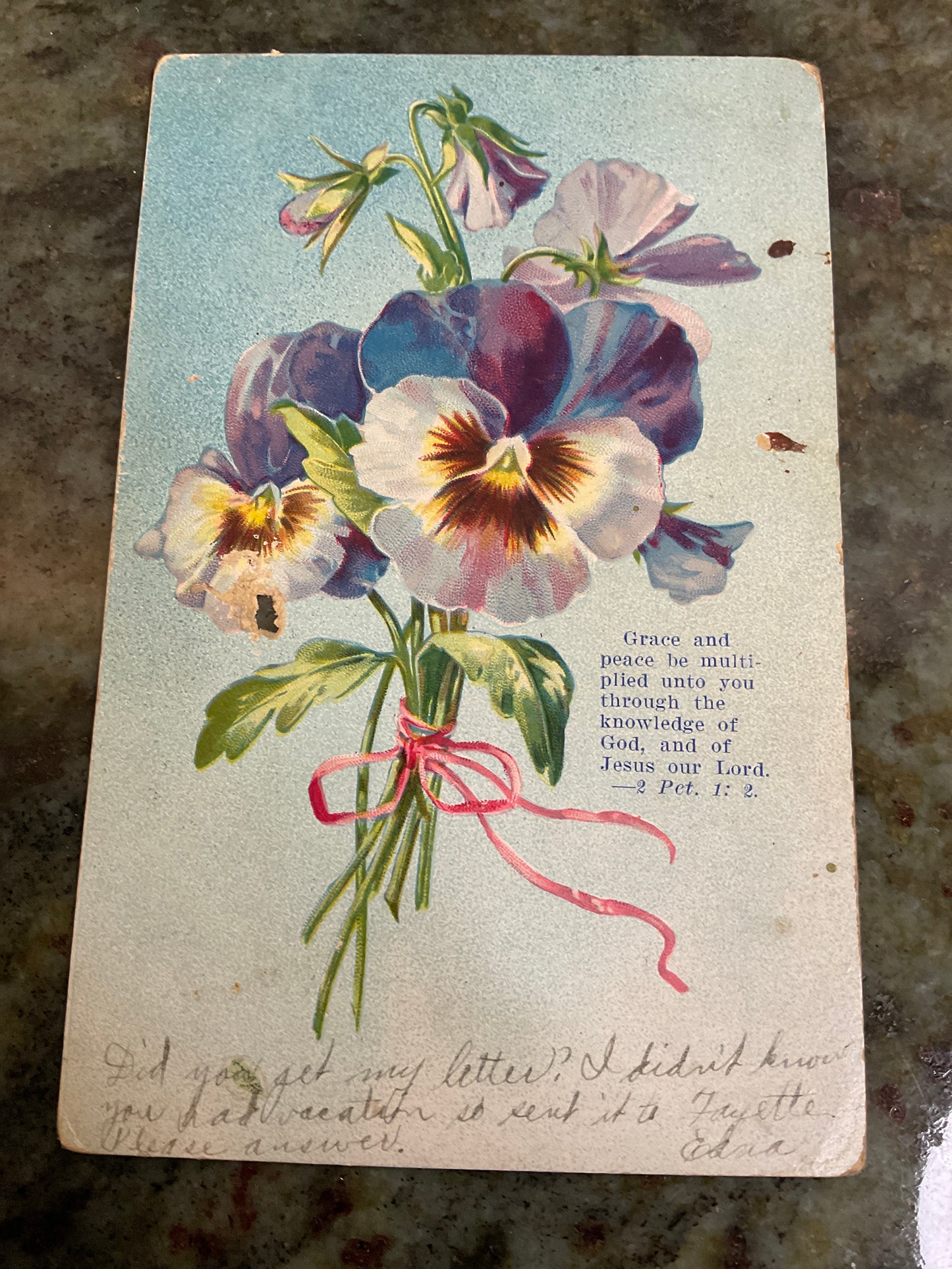 Vintage Postcard