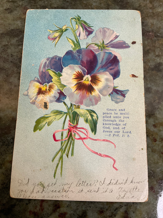Vintage Postcard