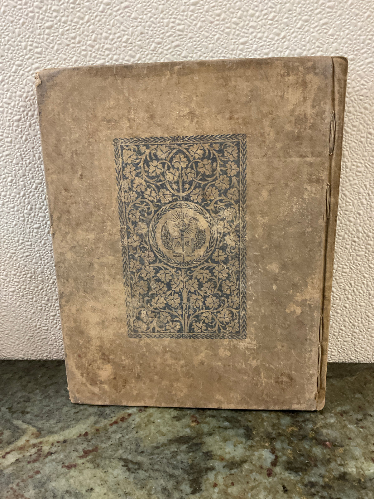 Antique 1897 Natural Elementary Geography