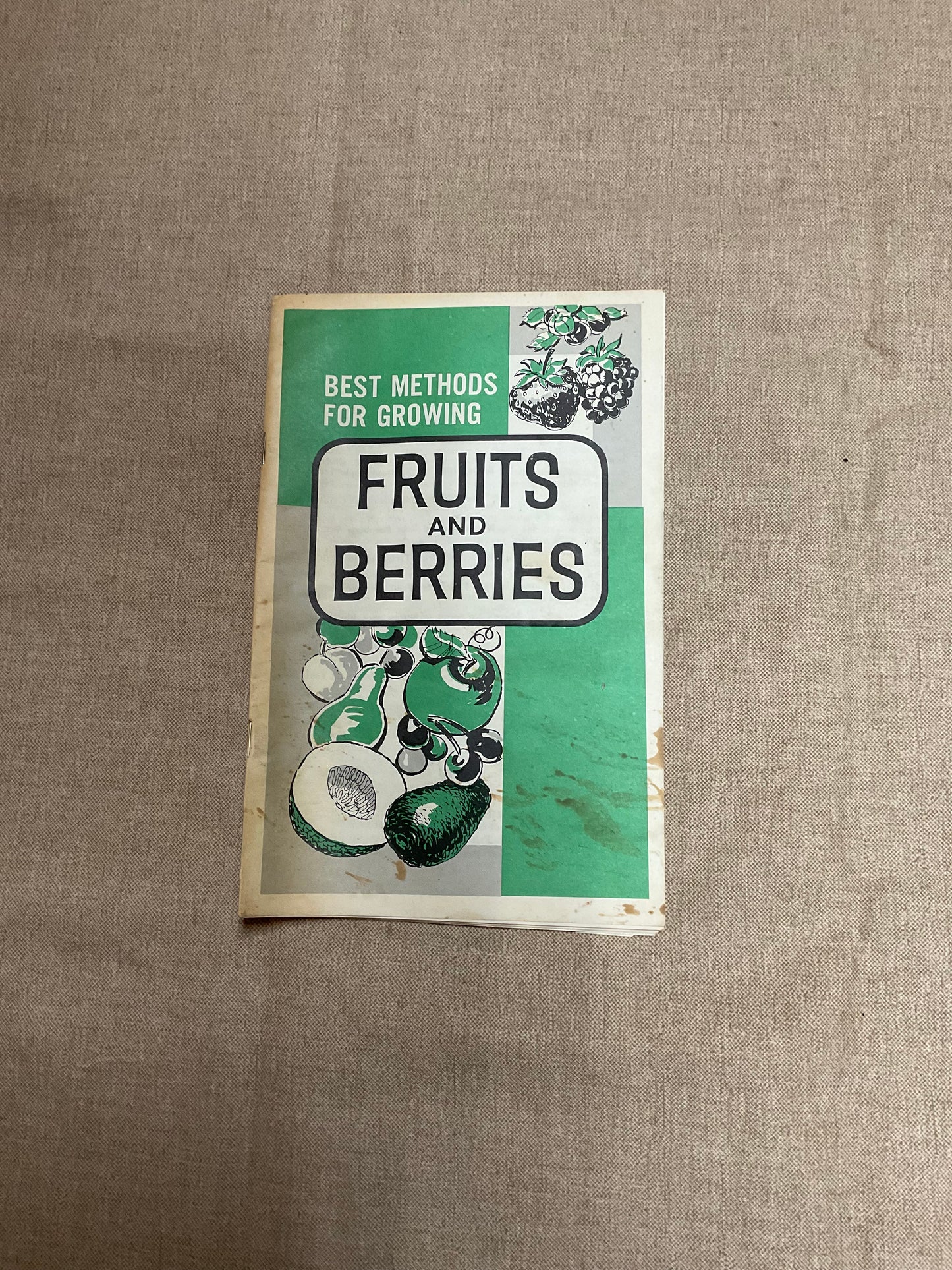 Best methods for growing fruits and berries