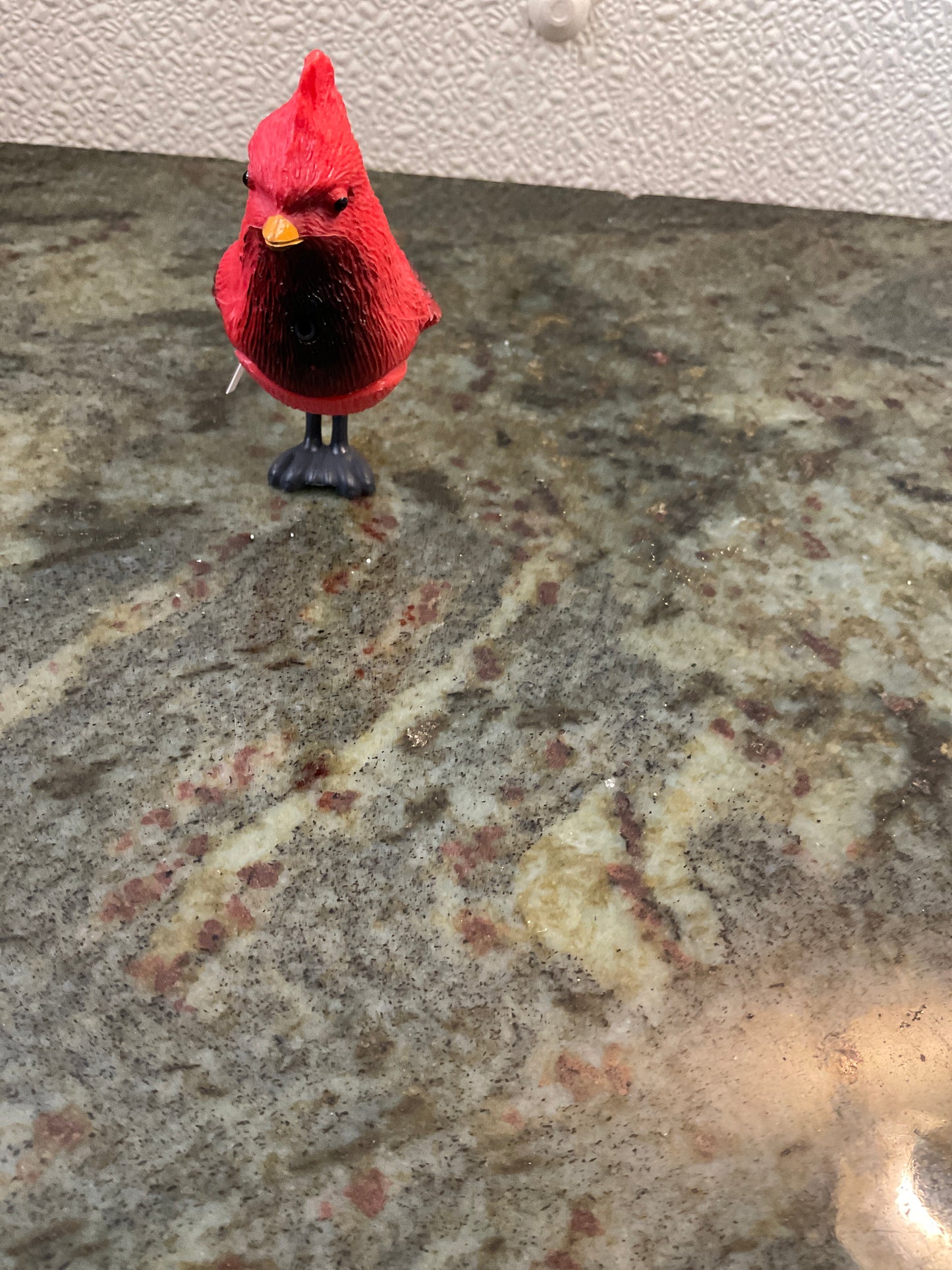 Plastic Cardinal Bird