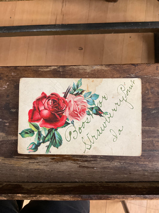 Antique Post Card - Roses