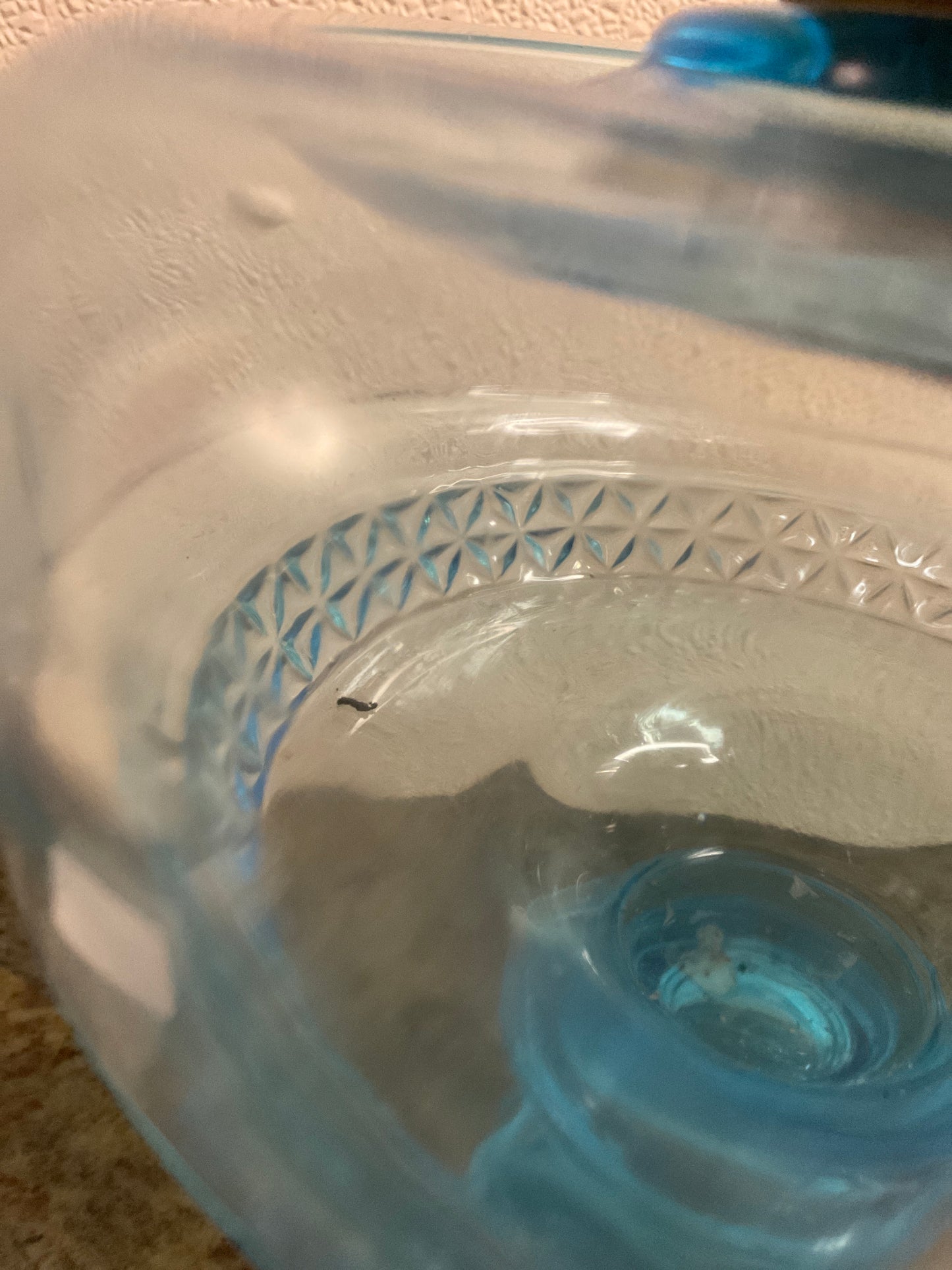 ‘Electric’ Oil Lamp Blue Glass