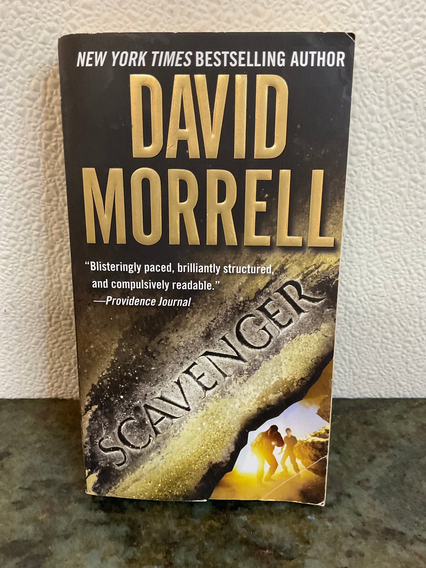 Book 2008/Scavenger by David Morrell