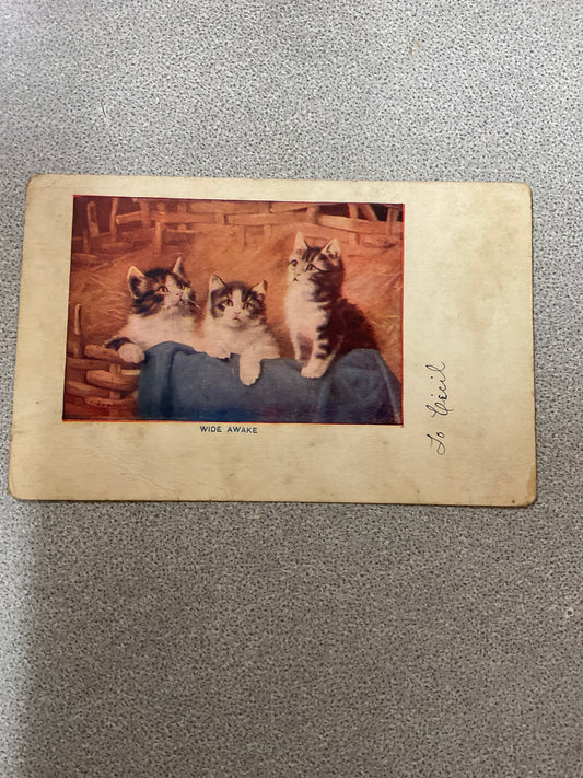 Postcard Wide Awake
