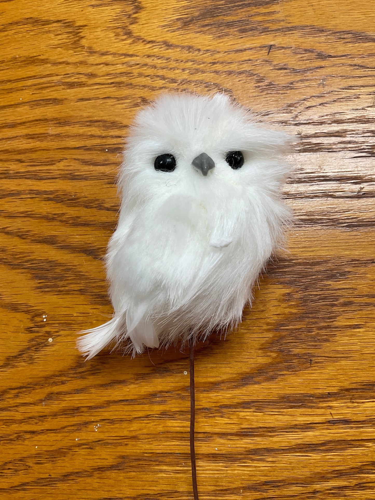 Little White Owl