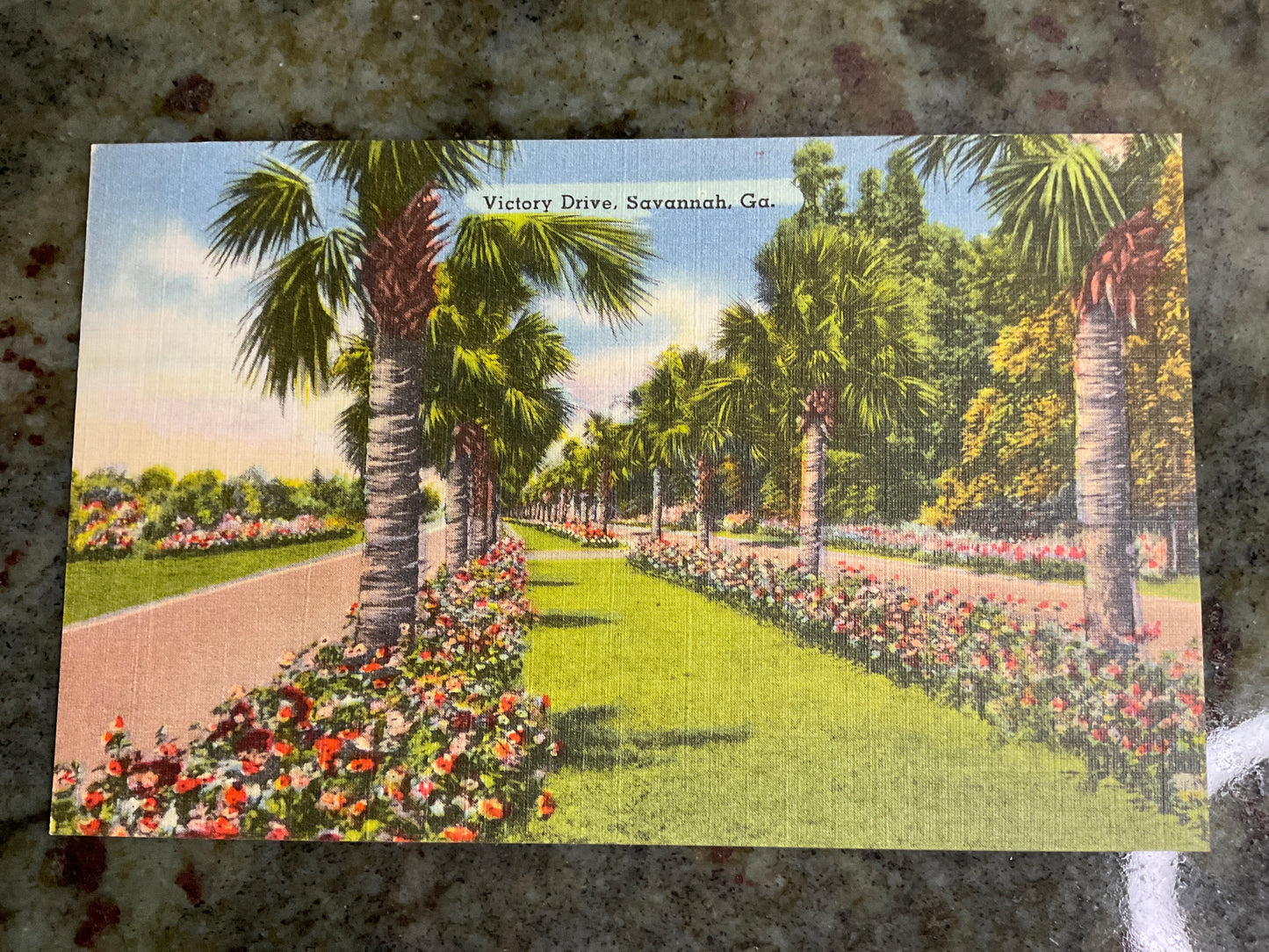 Vintage Post Card