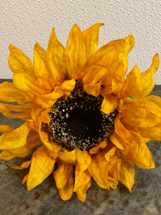 Decorate Sunflower