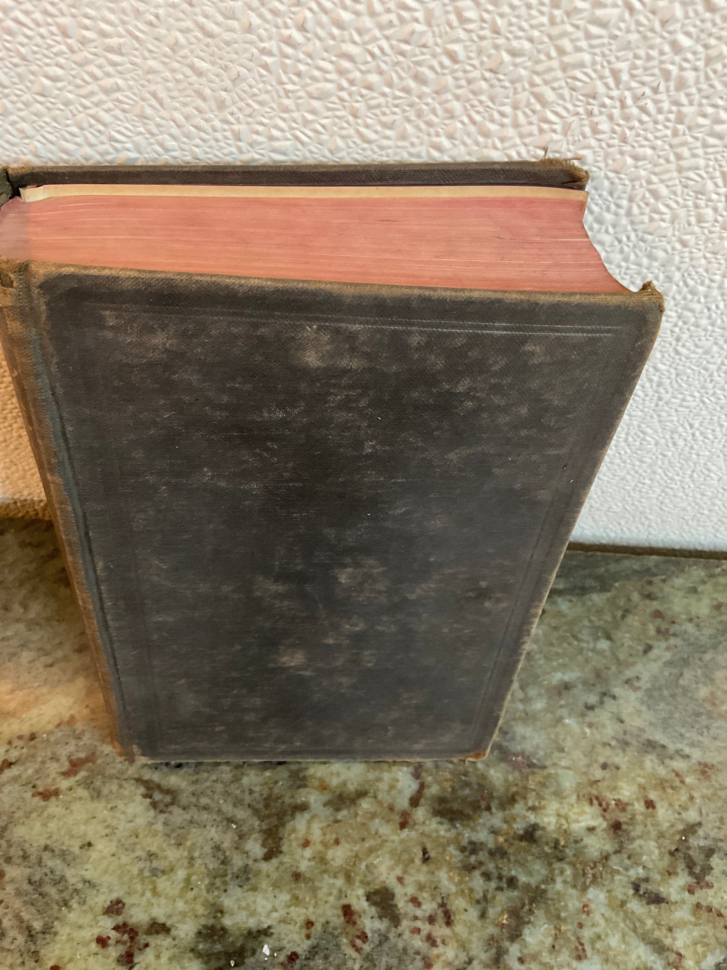 Antique 1901 Holy Bible References