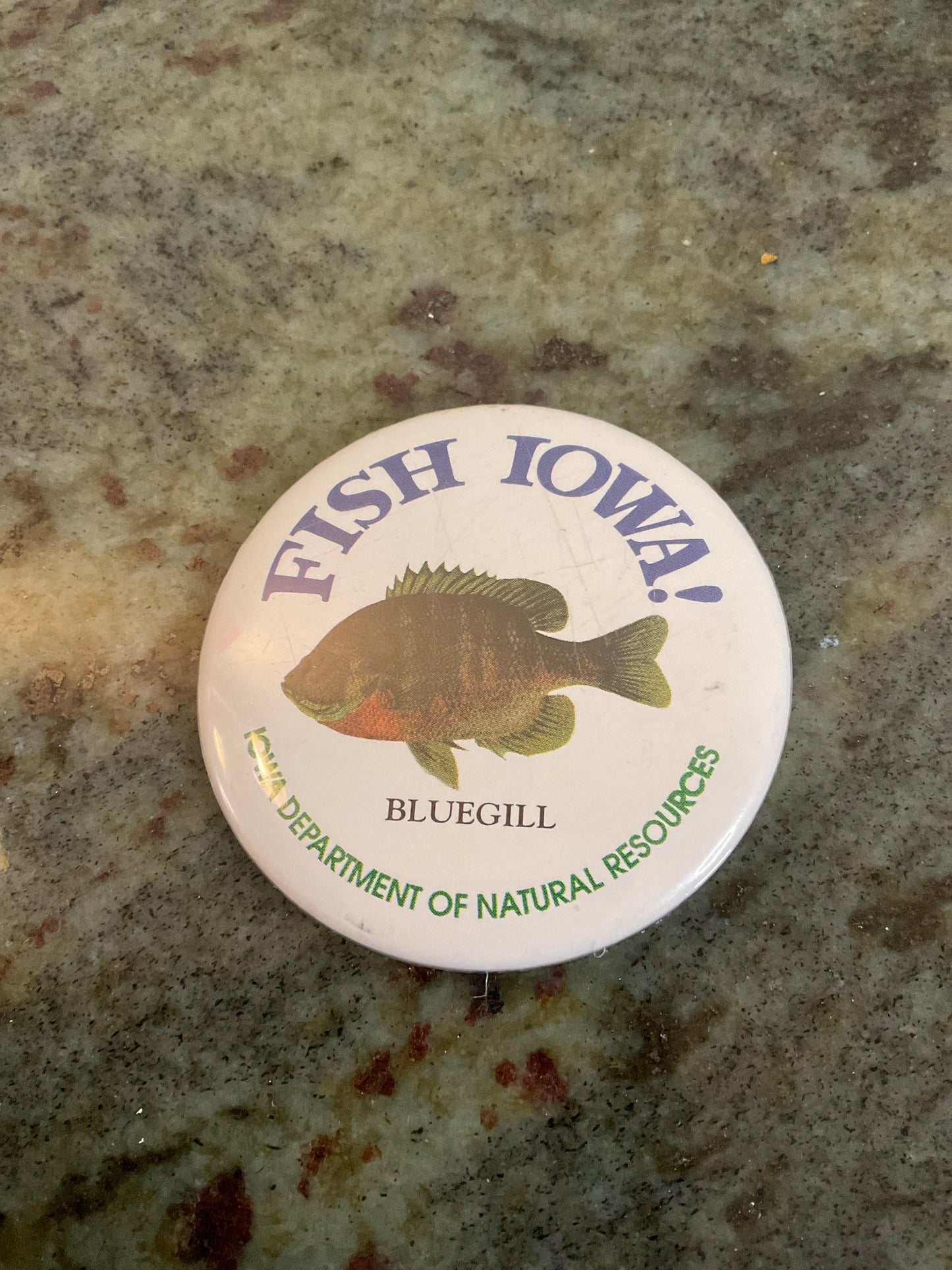Fish Iowa Button
