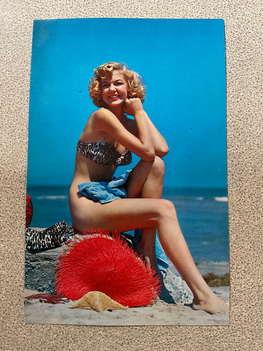 Postcard Card Modeling Woman