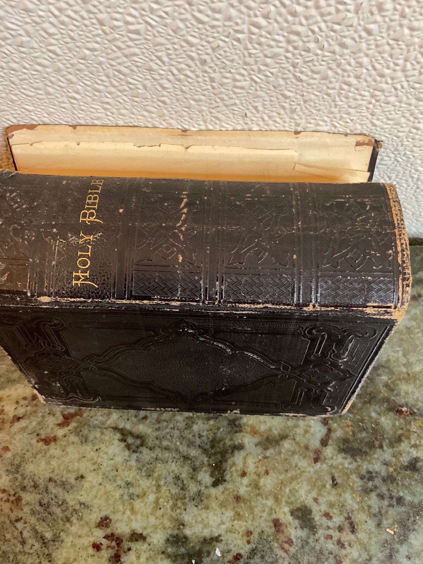 Antique 1883 Bible with Embossed Leather Binding