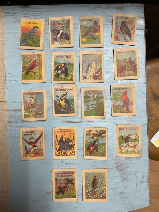 Set of 18 1941 Vintage Mini Bird Books