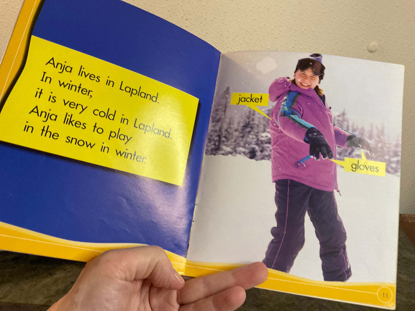 Book Seasonal Changes Children Book