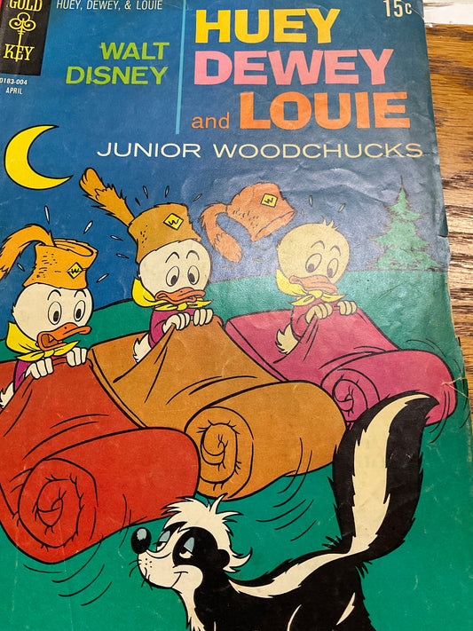 Comic Book Huey Dewey and Louie and Junior Woodchucks