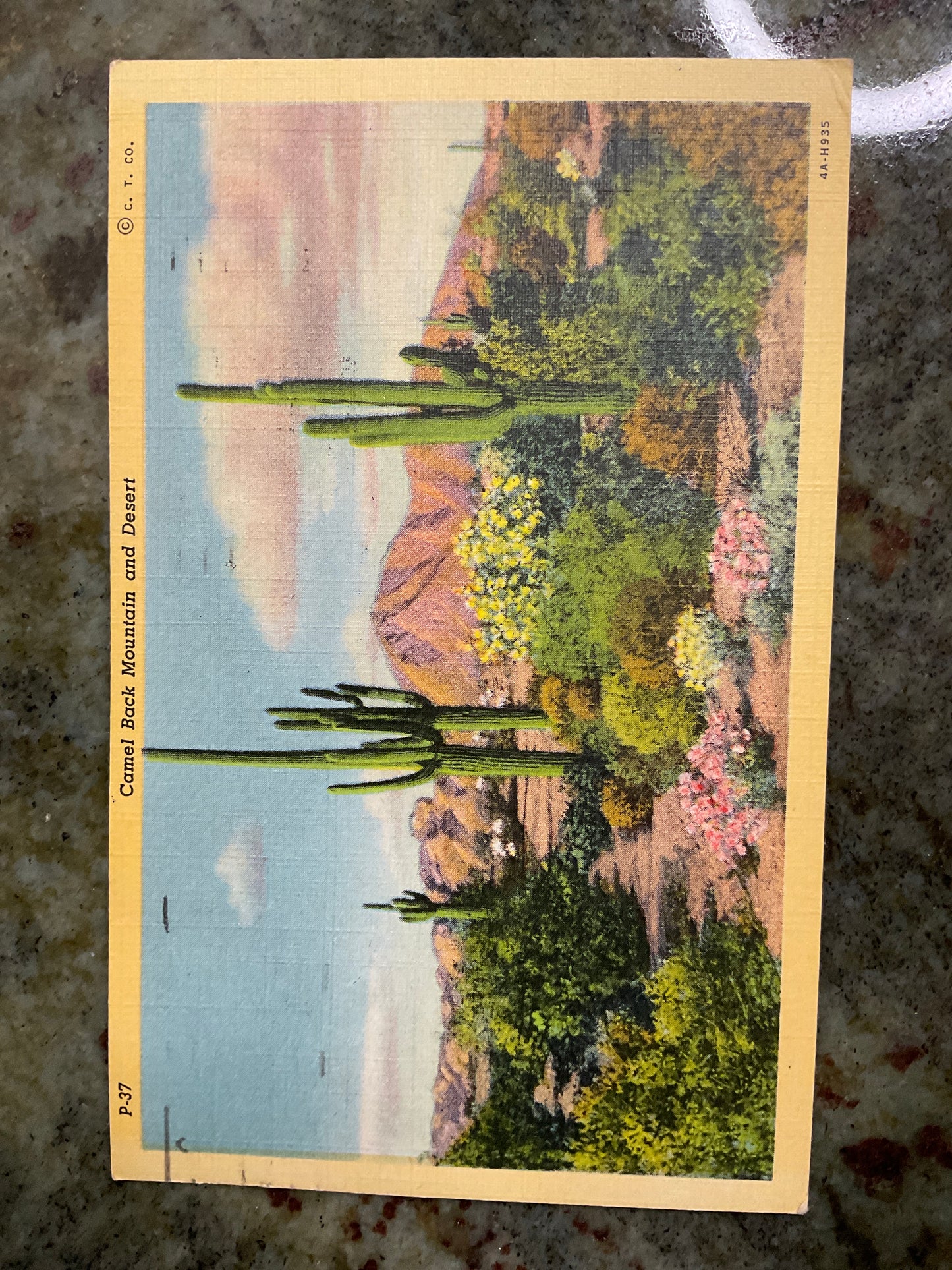 Vintage 1956 Post Card