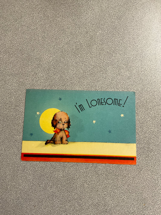 Vintage Postcard “I’m Lonesome”