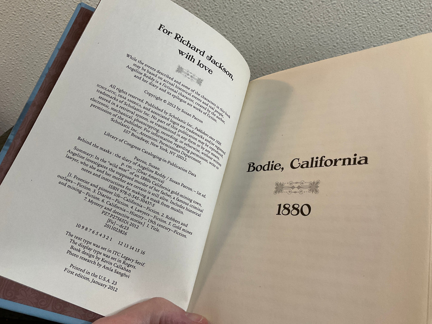 Book BehindThe Masks