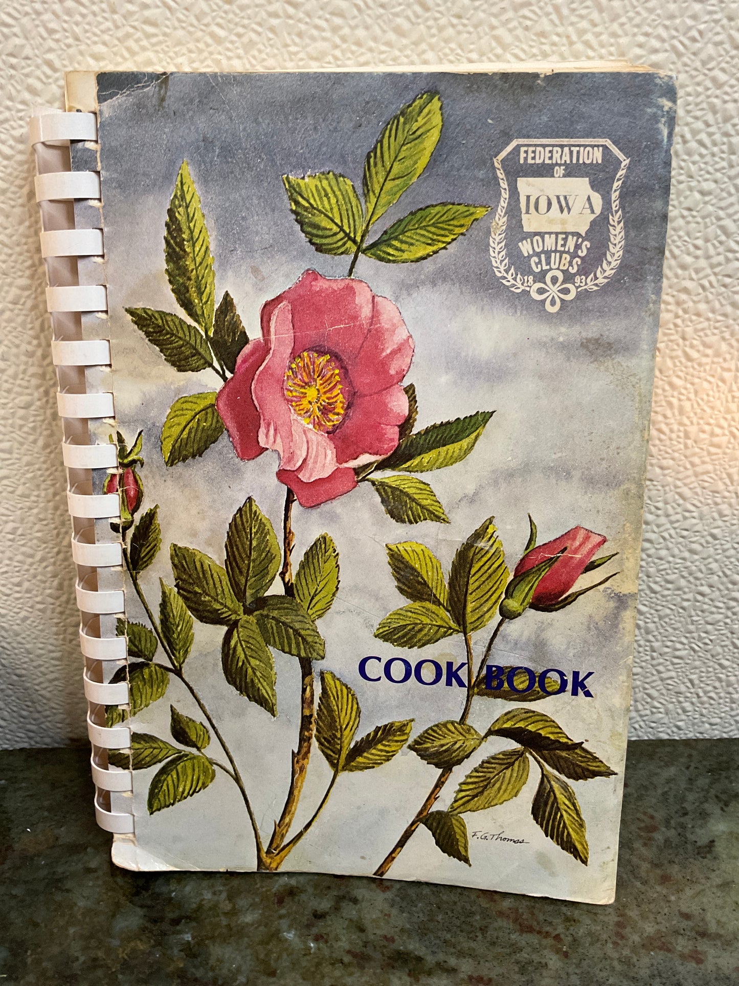 Fed of IA Women’s Cookbook