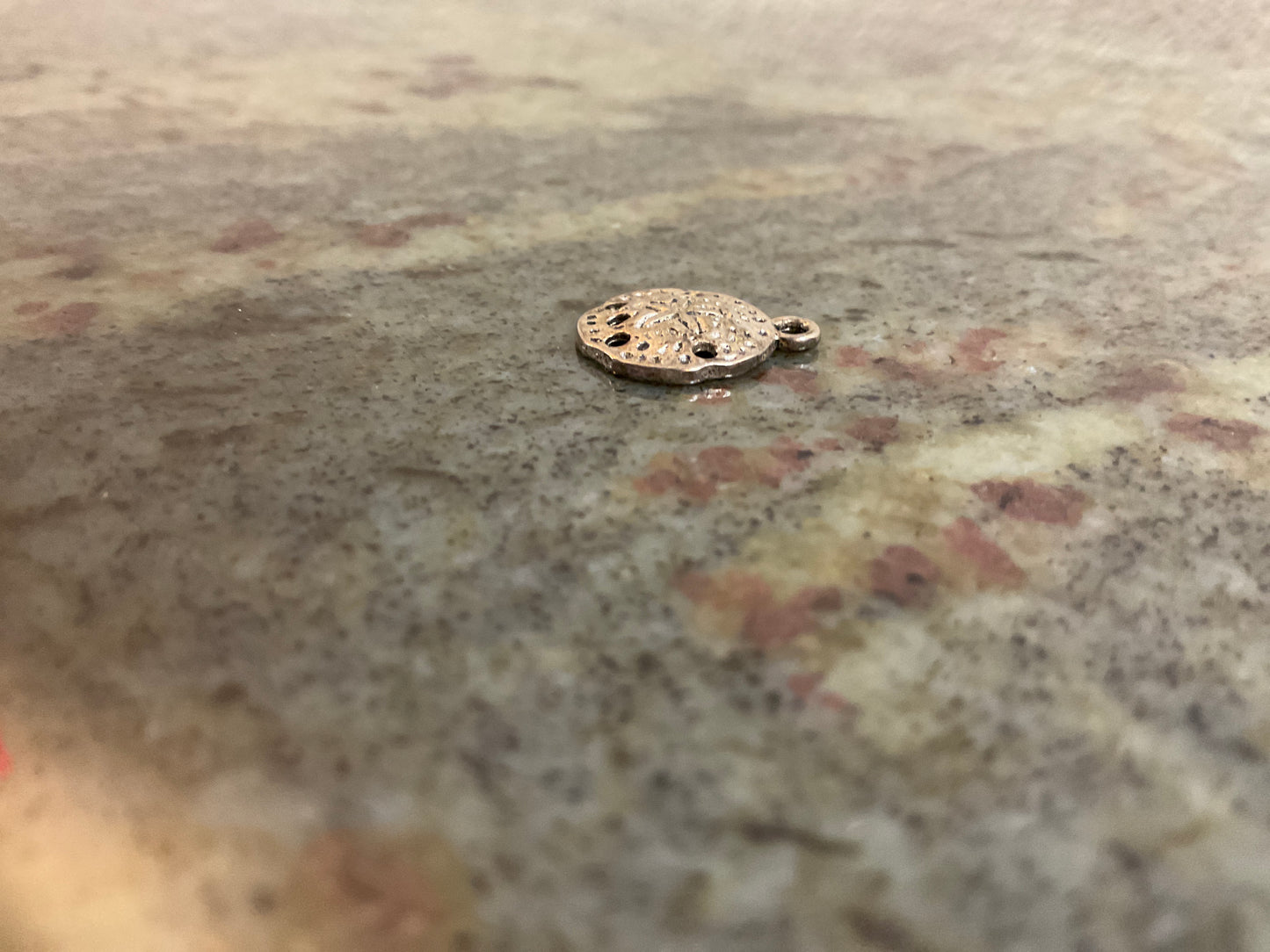 Silvertone Metal Sand Dollar Charm/Pendant