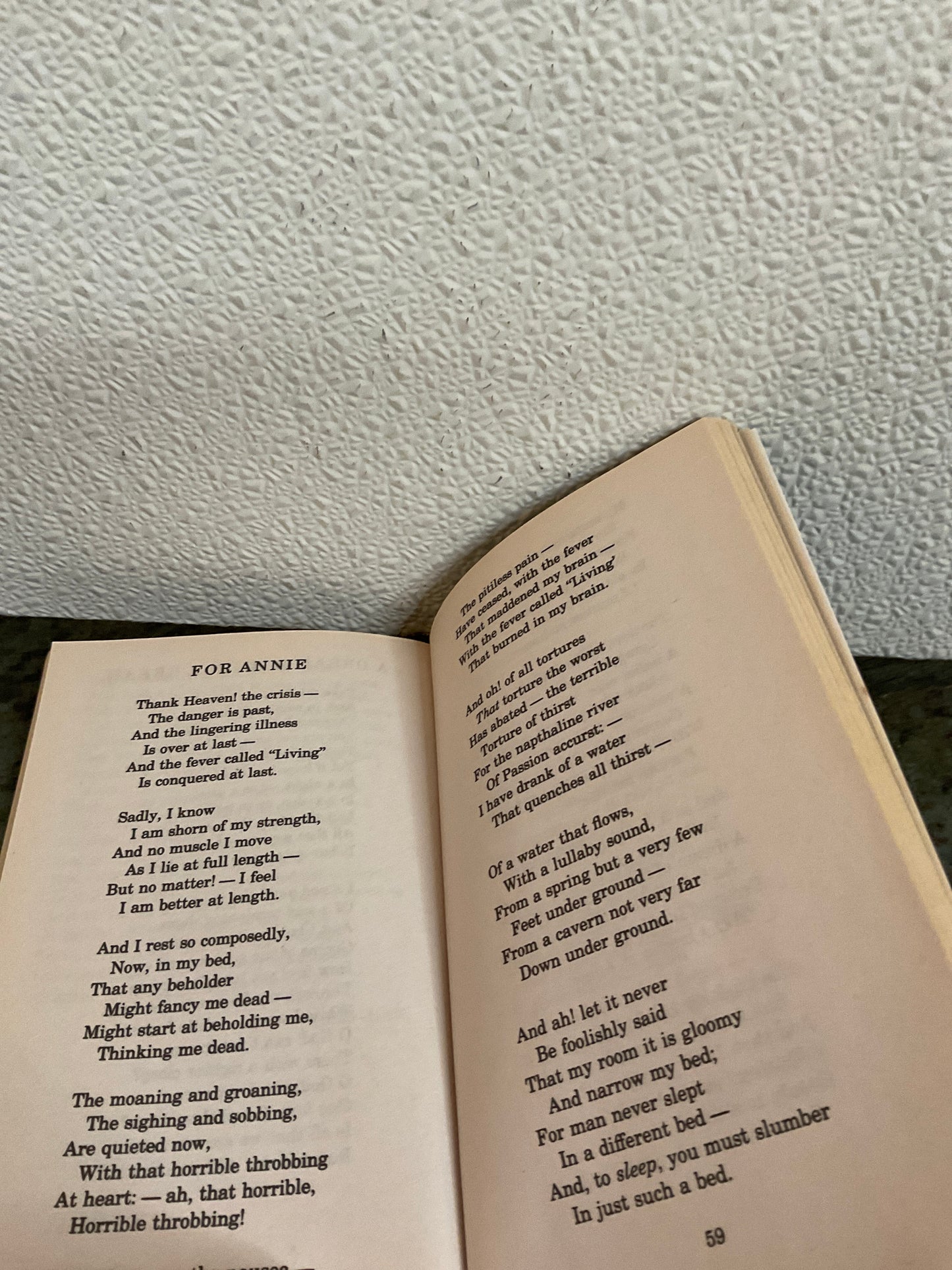 Book: The Raven and other Poems
