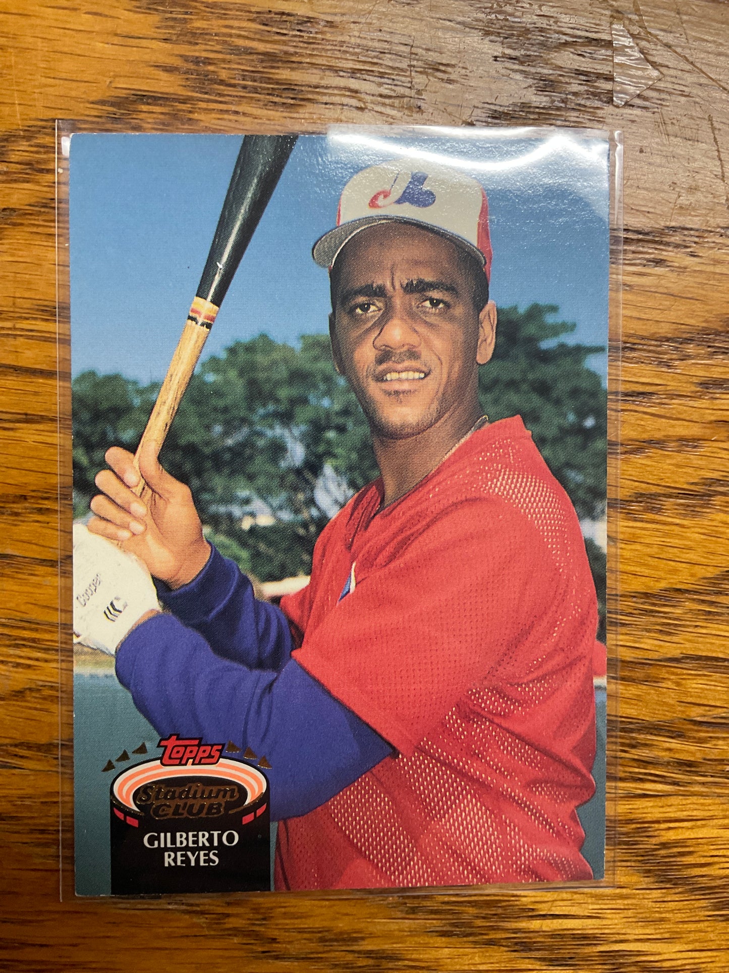 Baseball Card Gelberto Reyes Teyes