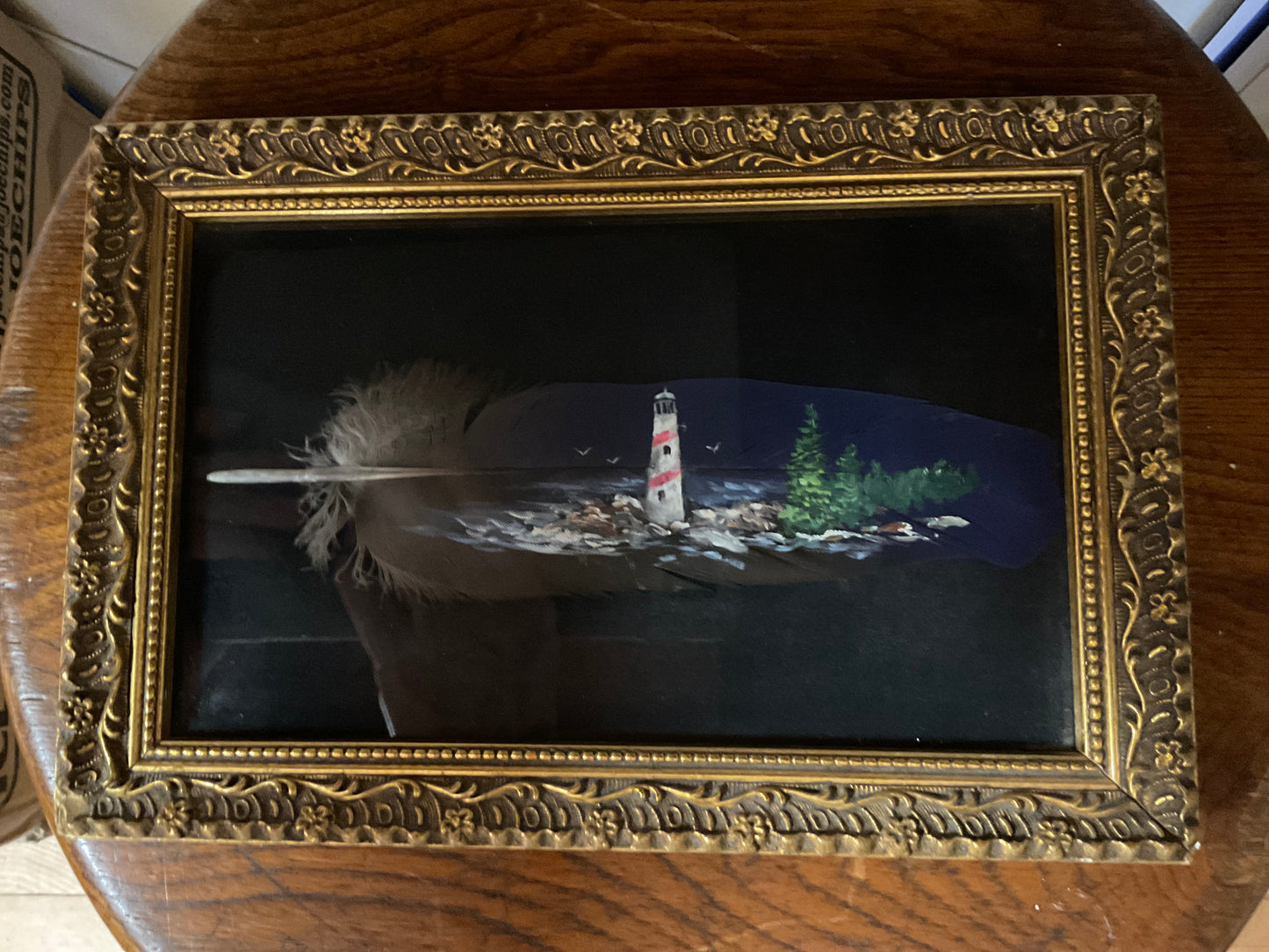 Framed Painted Feather Art
