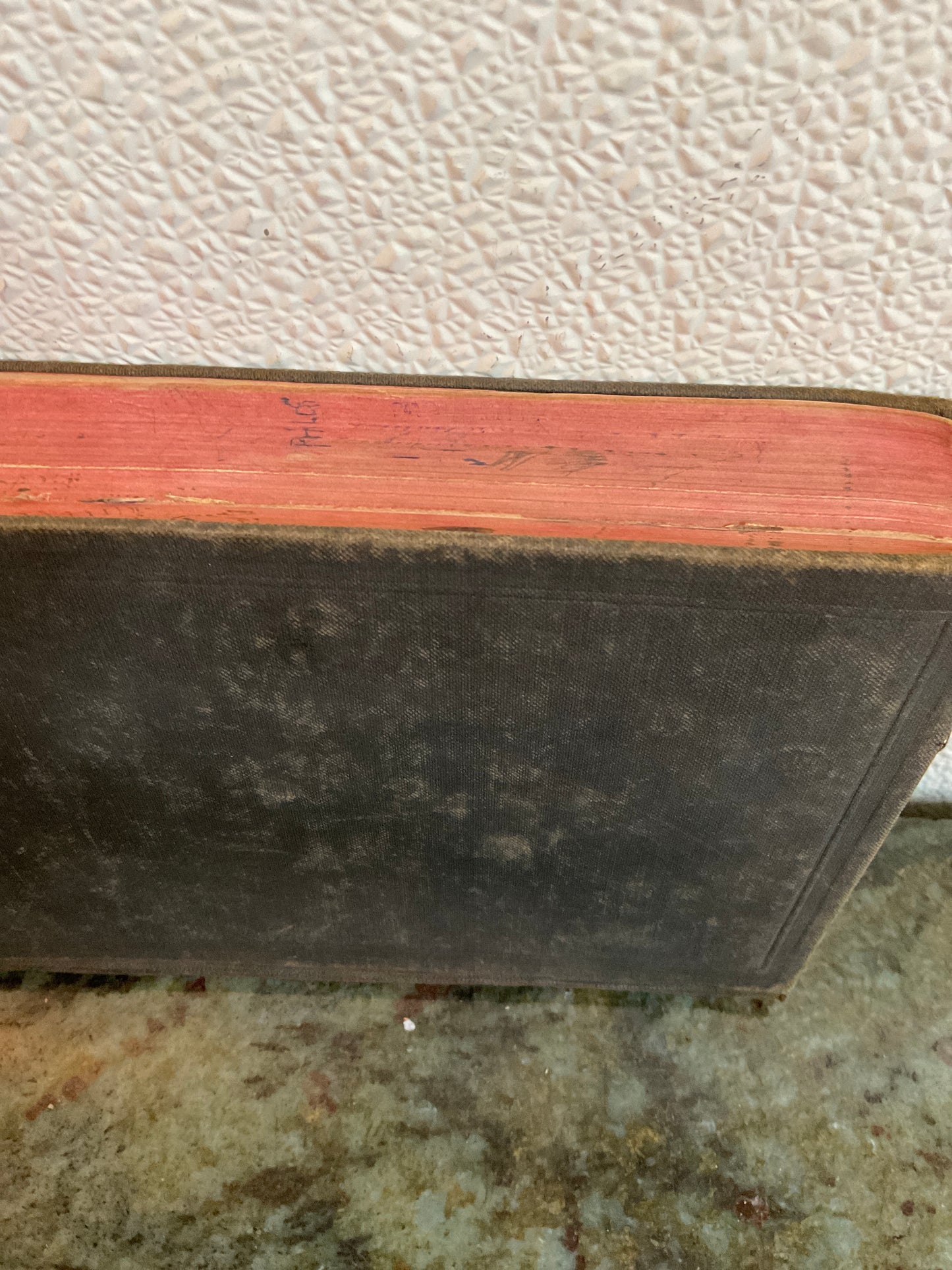 Antique 1901 Holy Bible References