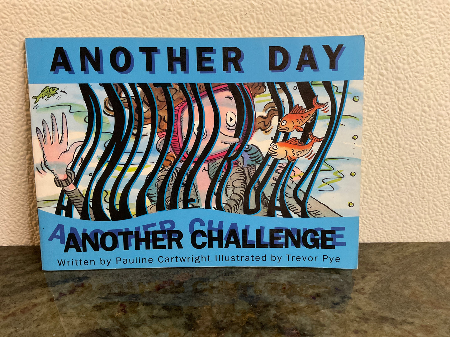 Book Another Day Another Challenge