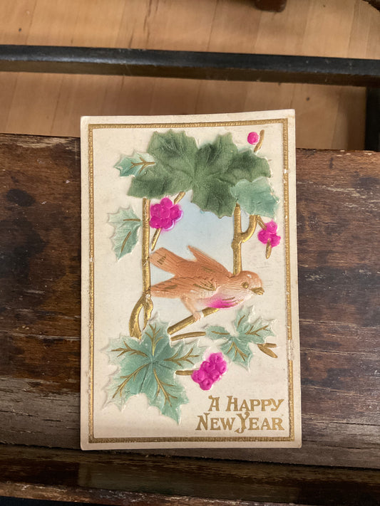 Antique Post Card- New Year Bird