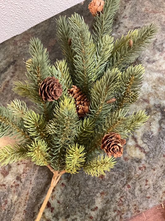 Pine Tree Branches