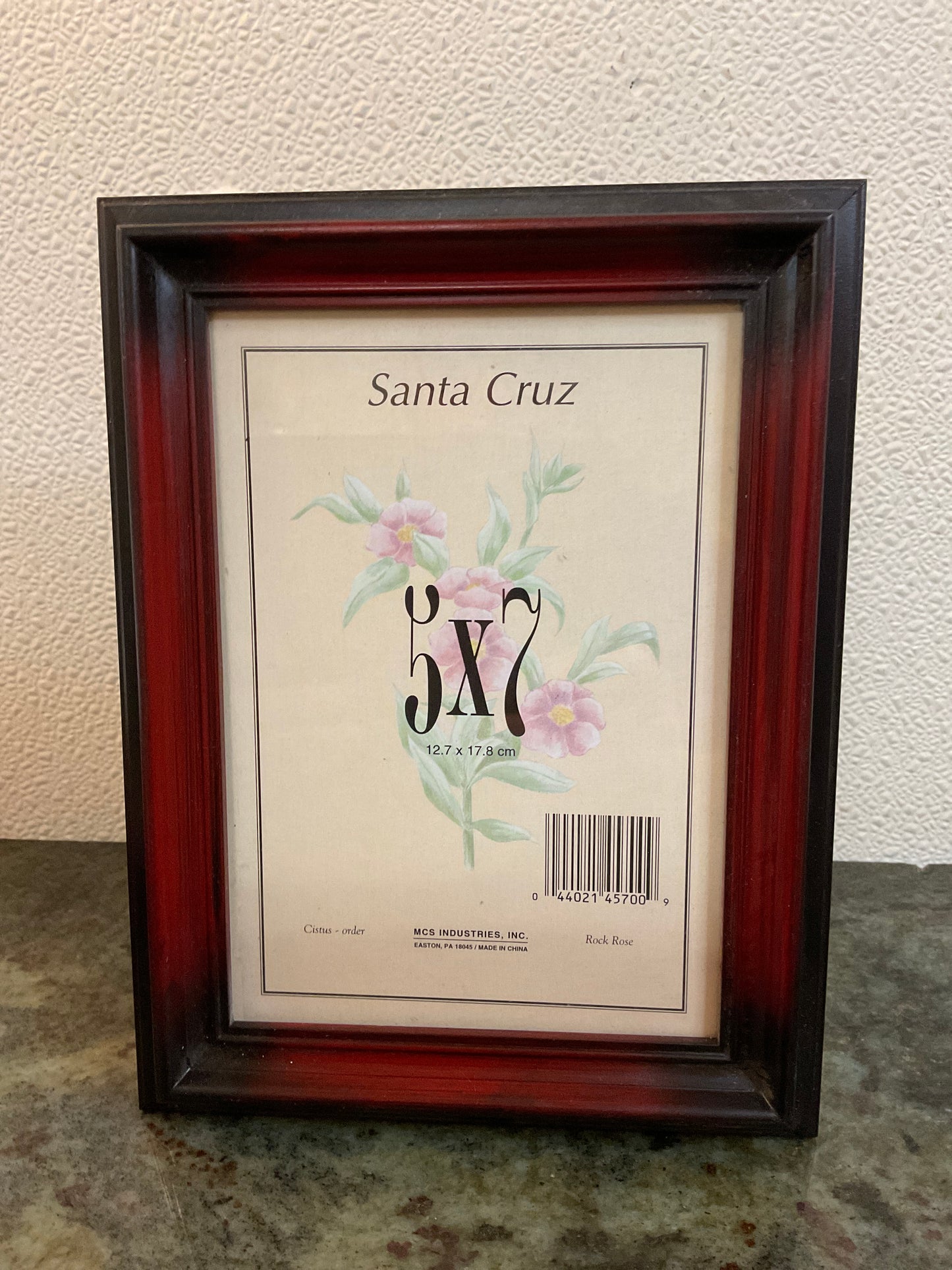 Resin Frame 5” x 7” With Easel Back