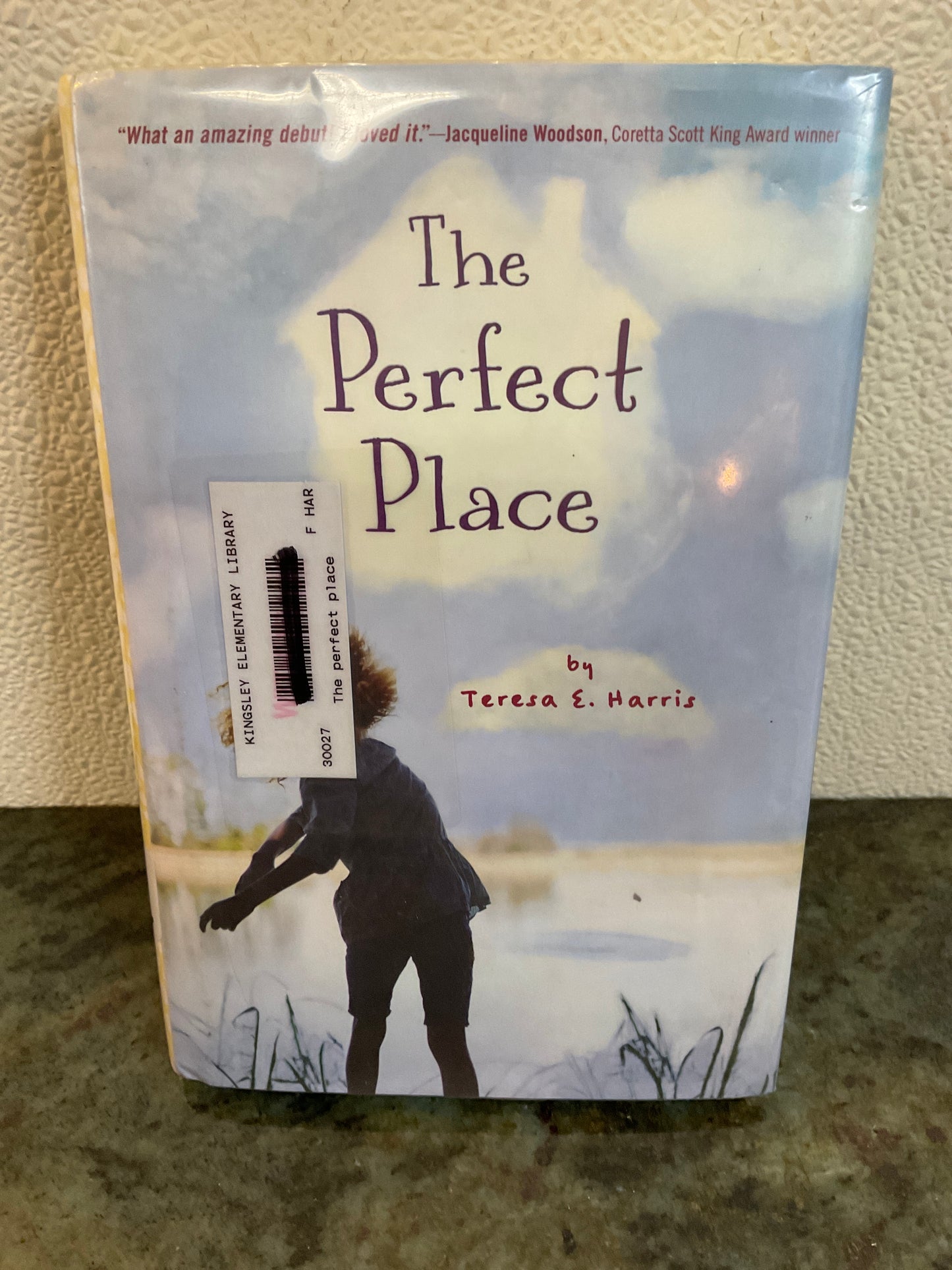 Book 2014 The Perfect Place