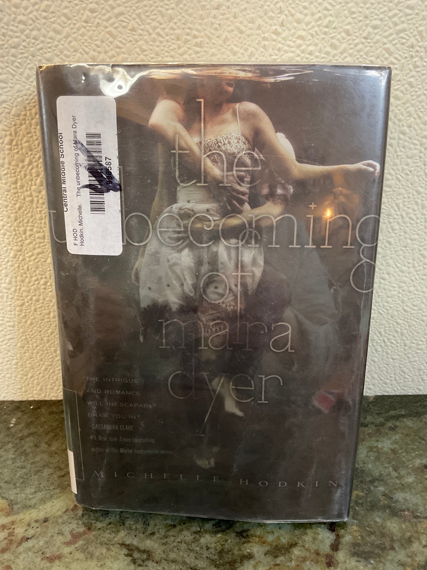 Book 2011 The Unbecoming of Mara Dryer