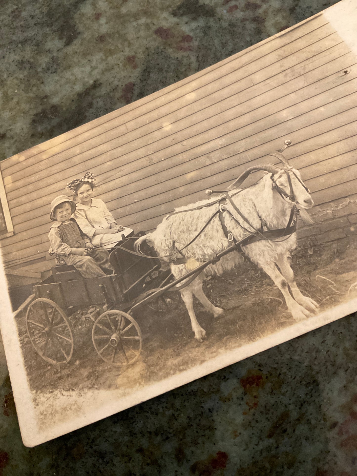 Photo Postcard Two Children/Wagon/Goat