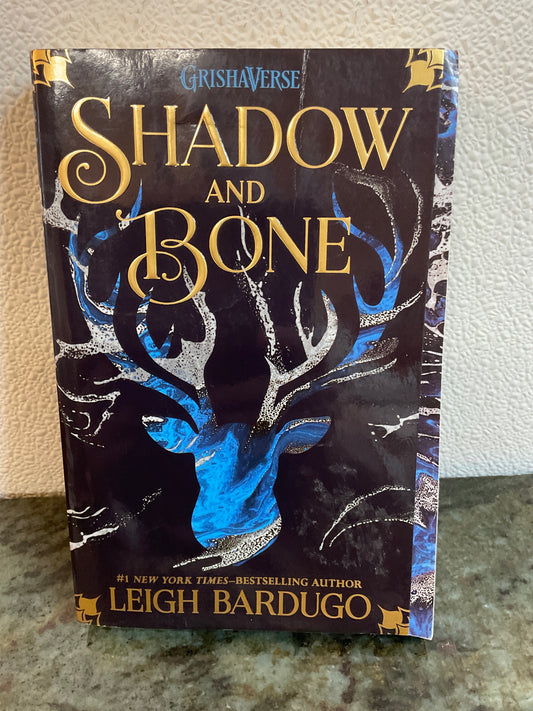Book Shadow And Bone