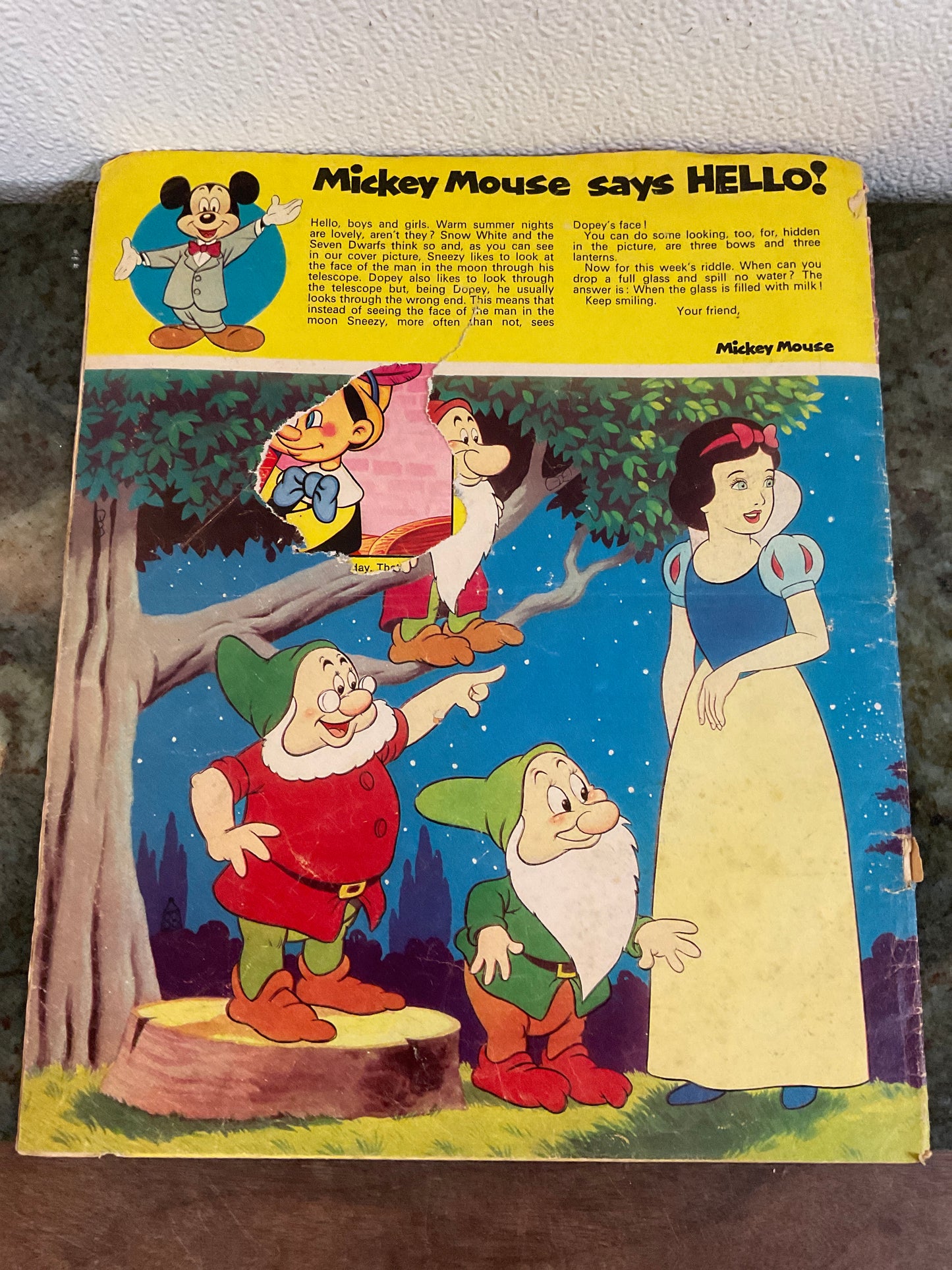 Disneyland Magazine #70