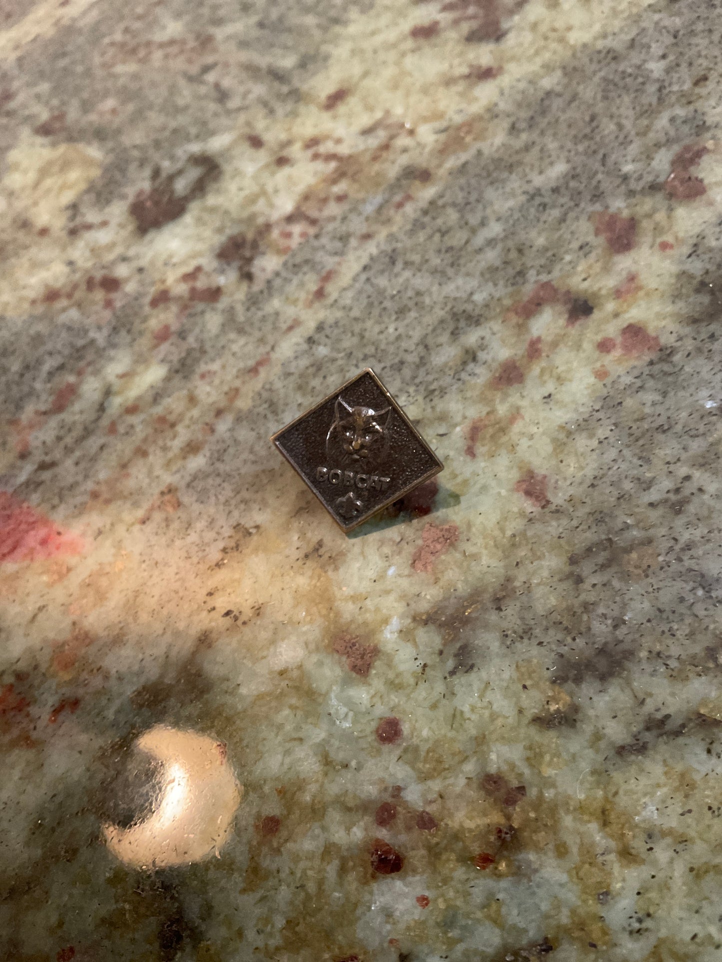 Cub Boy Scouts Of America Bobcat Lapel Pin