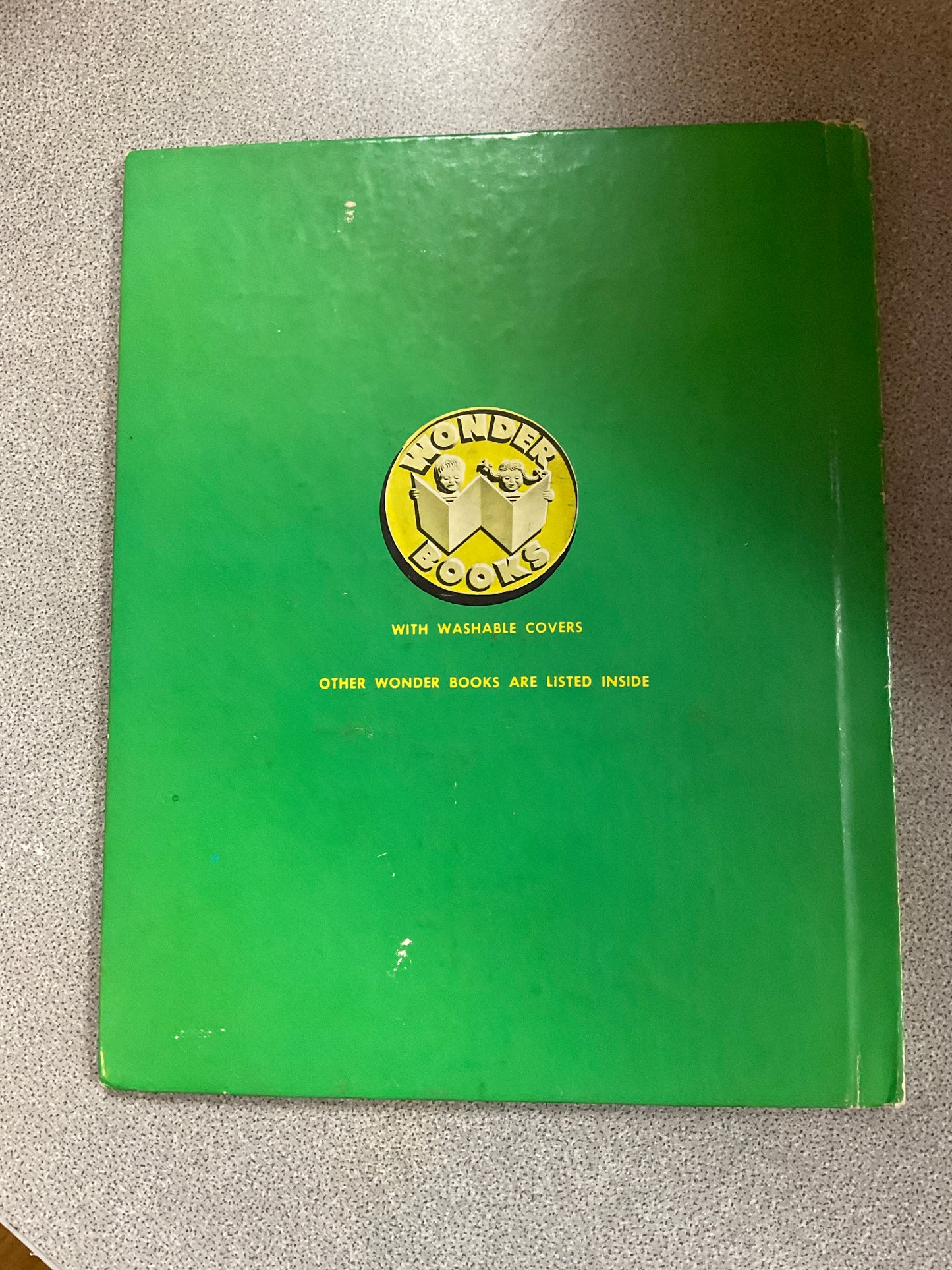 Book The Littlest Christmas Tree
