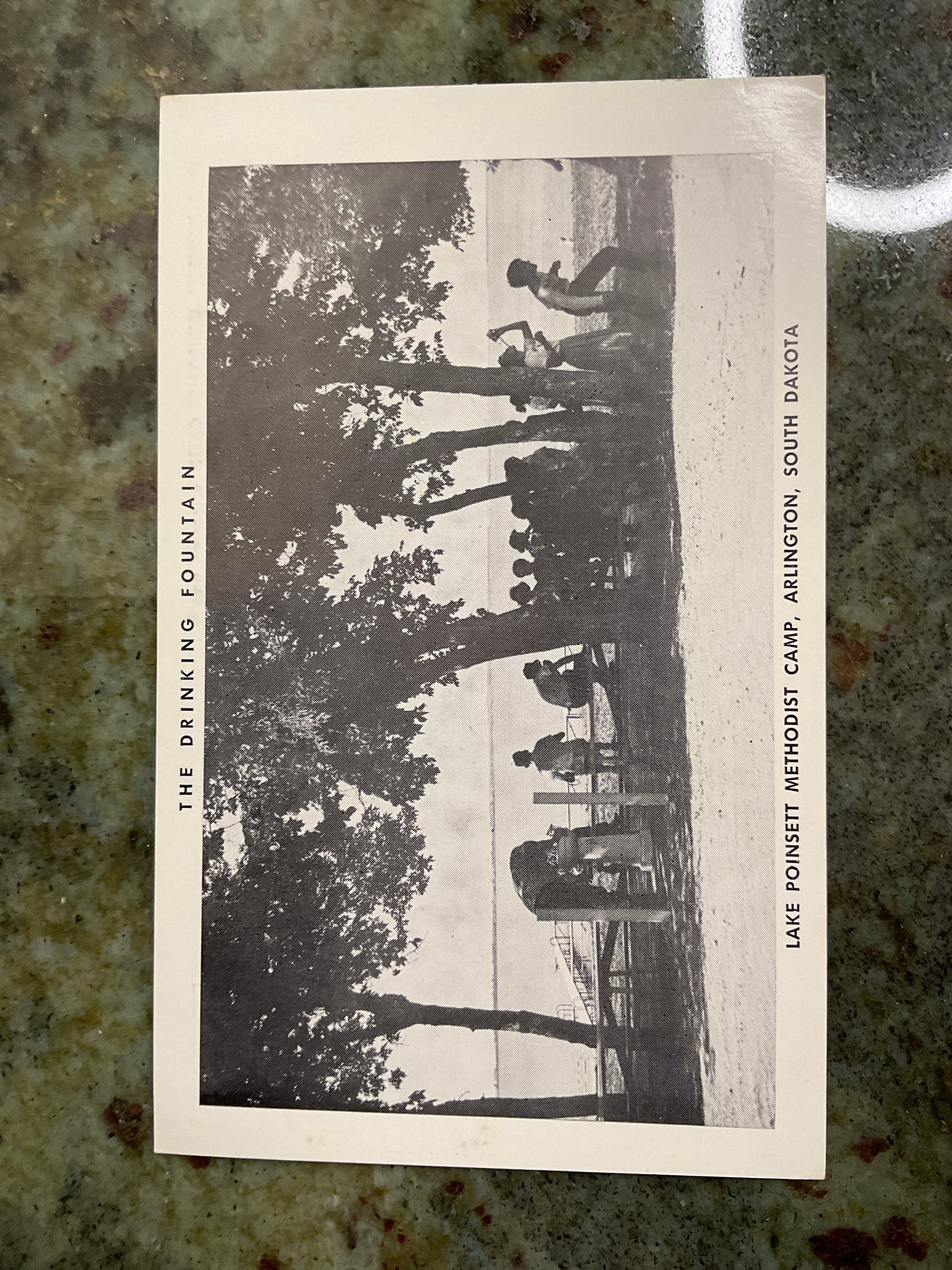 Vintage Post Card